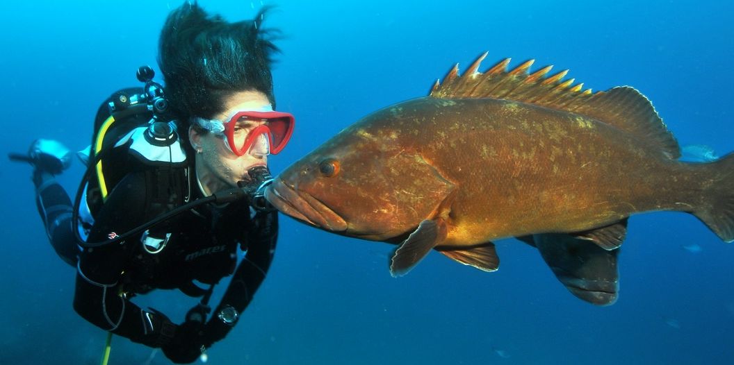Image Plongée sous-marine European Diving School