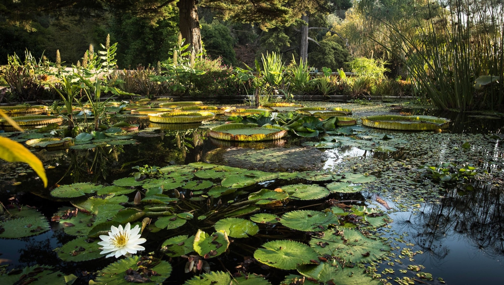Jardin botanique Val Rahmeh
