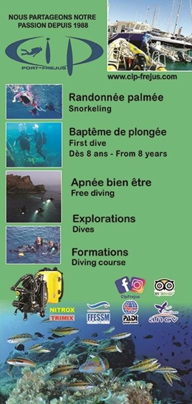 brochure