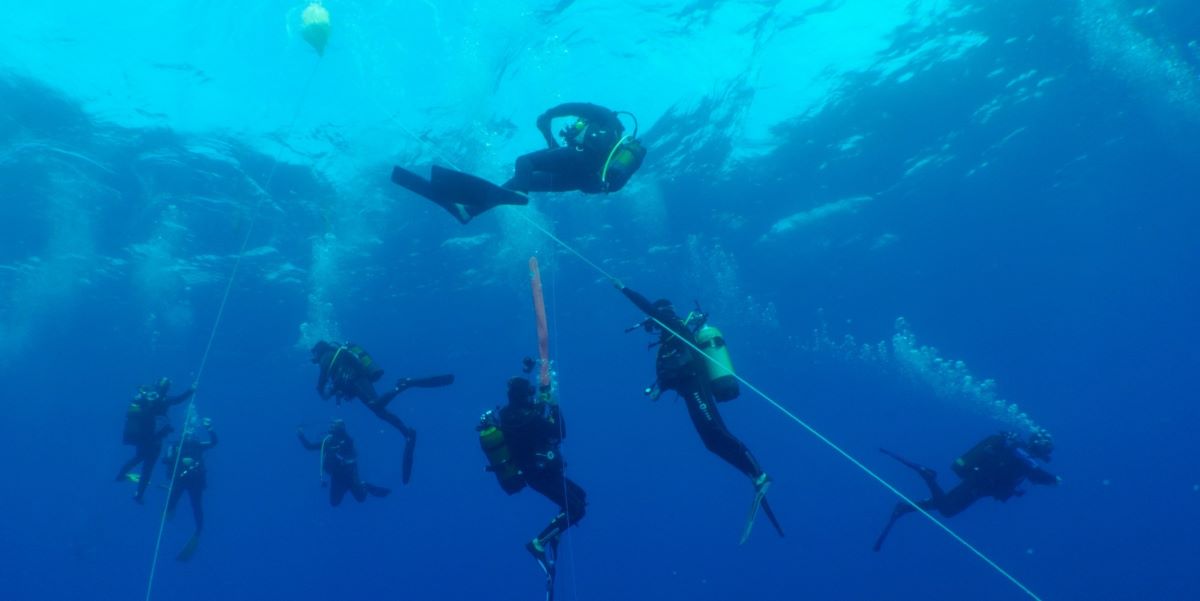 Image Plongée sous-marine CIP Fréjus