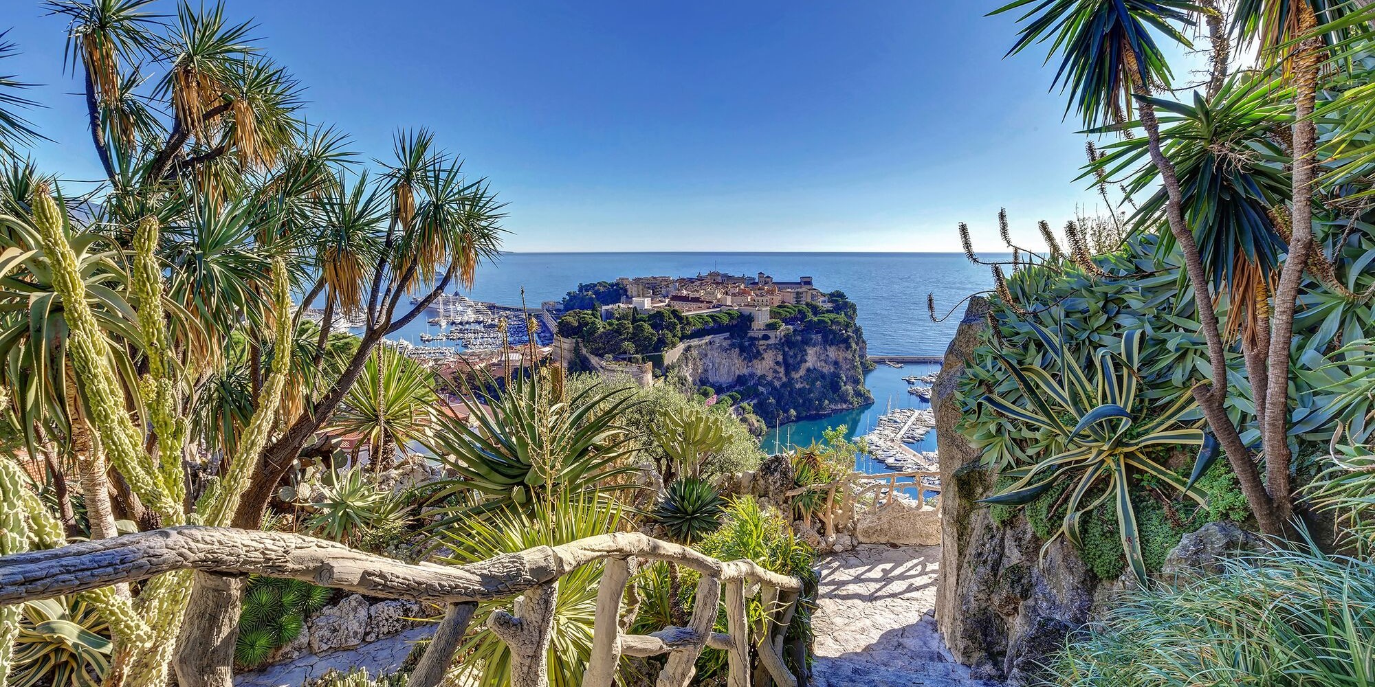 Jardin Exotique de Monaco